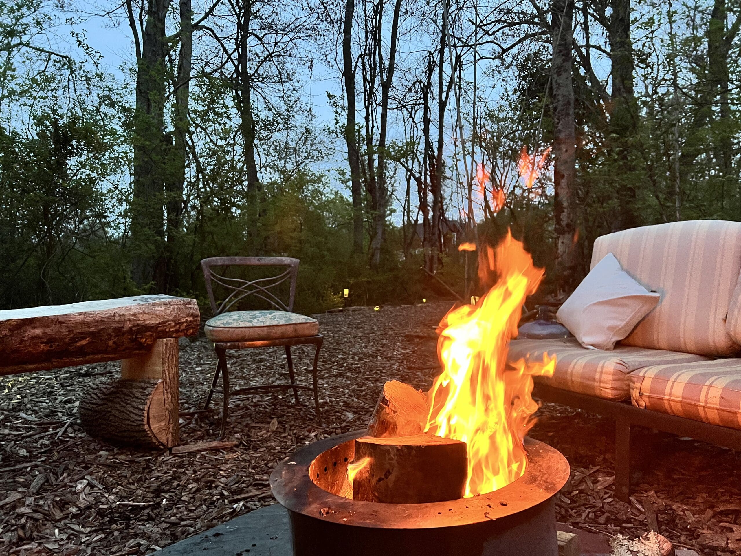 Airbnb welcomes dogs. Bring your pet to this airbnb in New Jersey